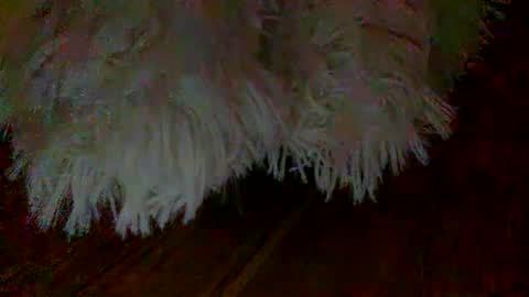 colobby007 online show from March 2025 11:33:01 PM