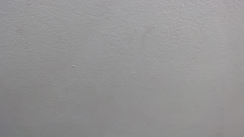  GRETCHEN  online show from January 2025 12:31:01 PM