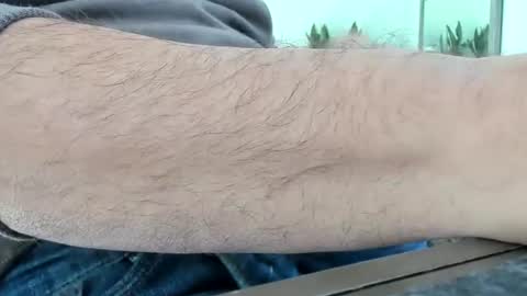 Colt online show from November 2025 02:12:02 PM