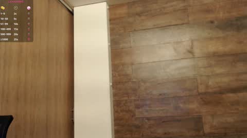 connor_h1 online show from January 2025 04:17:01 AM