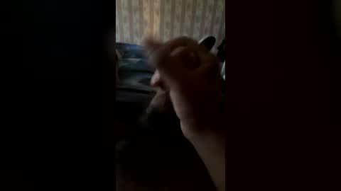 cool473 online show from July 2026 06:17:01 PM