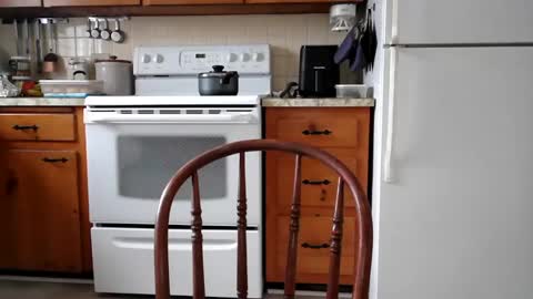 Cool Dude online show from February 2025 07:59:02 PM