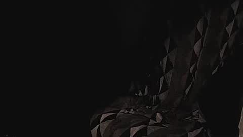 Snapshot of coolmementox chatting on January 2025 01:04:01 AM ChoveEnArrakis online show from January 2025 01:04:01 AM