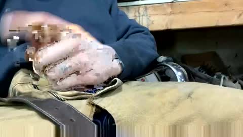 copart84 online show from December 2024 05:03:01 PM