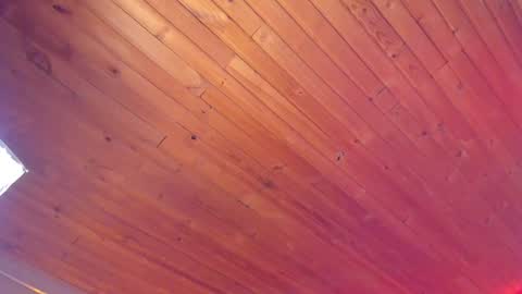 Coraline online show from January 2025 01:19:01 AM