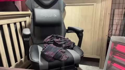 cortexdex online show from September 2025 02:34:02 AM