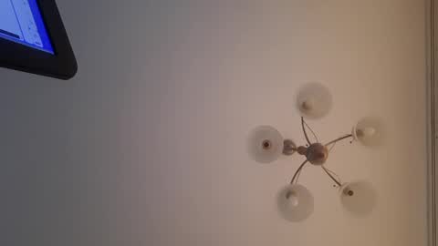 Snapshot of corvus4 chatting on December 2024 12:52:02 PM Corvus online show from December 2024 12:52:02 PM