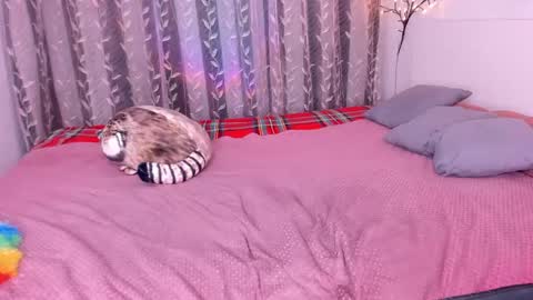 Alice online show from March 2025 11:58:02 PM