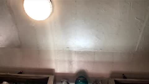 countryjoe2002 online show from December 2025 06:47:01 PM