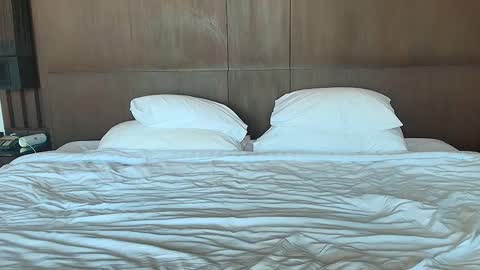 Sandra and Tom online show from January 2025 01:56:01 AM