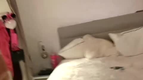 Sandra and Tom online show from February 2025 06:48:02 PM