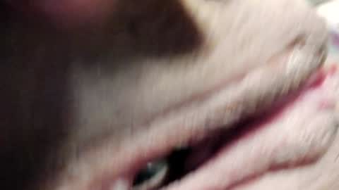 Im Courtney Nice to meet youFollow meInstagram courtneyluv778 online show from January 2025 03:40:01 PM