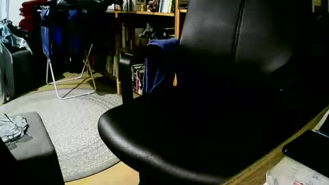 coyote017 online show from January 2025 12:31:01 PM