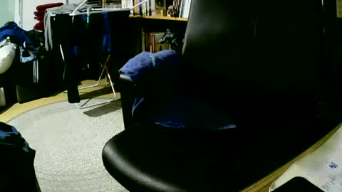 coyote017 online show from January 2025 06:54:02 PM