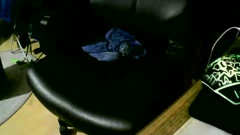 Snapshot of coyote017 chatting on November 2025 09:31:01 PM coyote017 online show from November 2025 09:31:01 PM