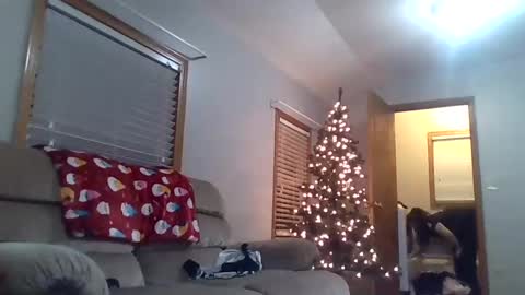 craveitoften online show from December 2024 01:40:02 AM