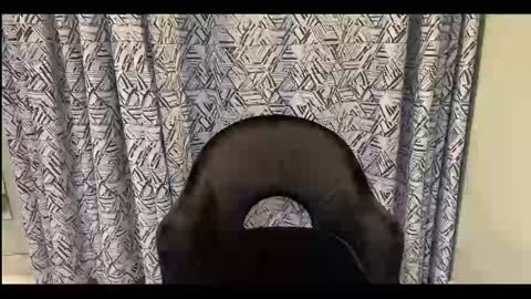 CreamOnMyCakes online show from September 2025 10:04:02 AM