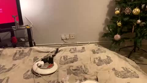 Creamycouple1 online show from December 2024 02:47:02 AM