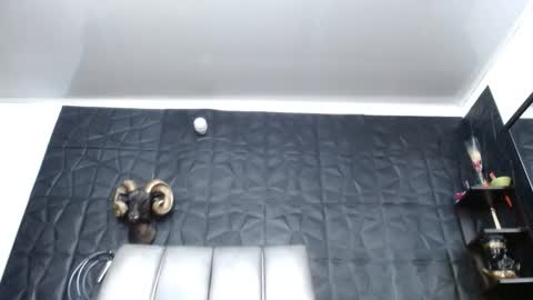 Hanna  online show from April 2026 08:53:02 AM