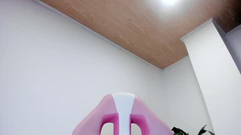 sofia online show from March 2026 06:03:01 AM