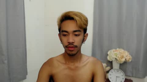 crocodale online show from November 2025 11:02:01 AM