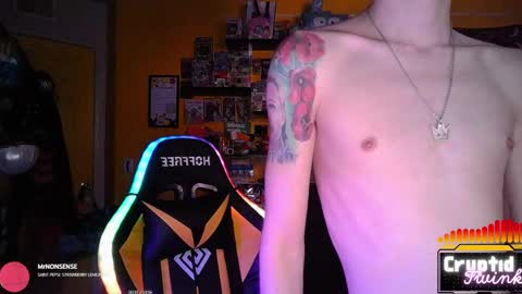 CryptidTwink online show from April 2026 06:05:02 AM