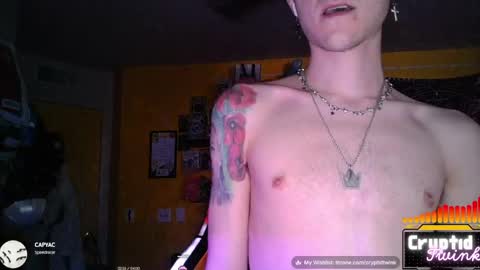 Snapshot of cryptidtwink chatting on June 2026 05:58:01 AM CryptidTwink online show from June 2026 05:58:01 AM