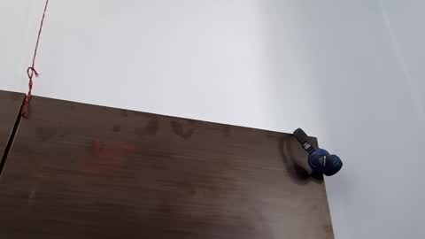 cuddlemuffins online show from March 2026 05:00:02 AM