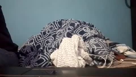 cumbian_chero online show from July 2026 03:44:01 AM