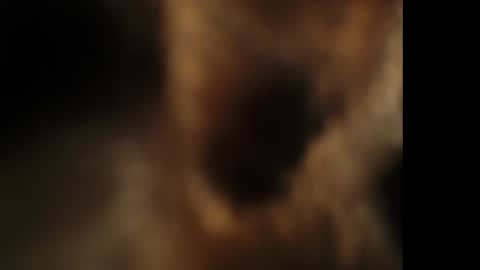 Giselle online show from October 2025 07:41:01 PM