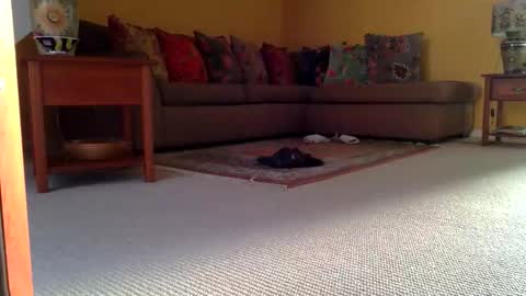 Snapshot of cumonherguys chatting on November 2025 08:36:02 AM cumonherguys online show from November 2025 08:36:02 AM