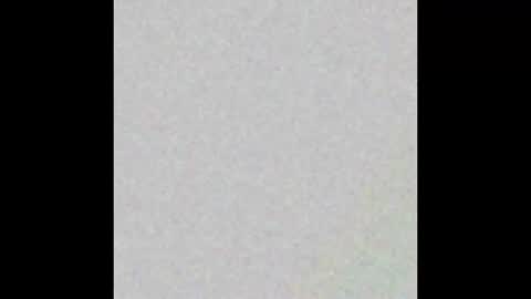 chattrbatr online show from December 2025 12:31:02 PM