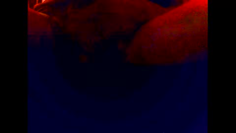 cuntgulper1286 online show from December 2024 03:00:02 PM