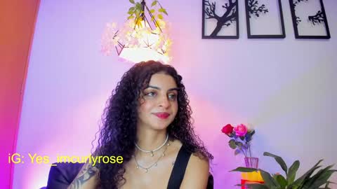 Rose online show from January 2025 01:20:01 AM