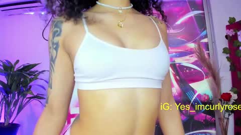 Rose online show from February 2025 09:08:02 PM