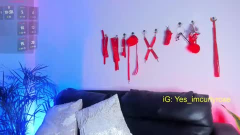 Rose online show from November 2025 11:26:01 PM