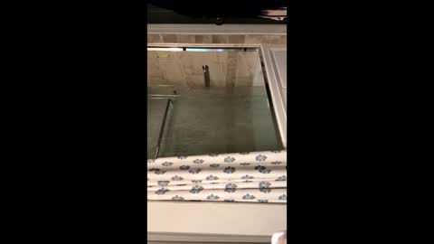 curvyd454066 online show from September 2025 07:07:02 PM