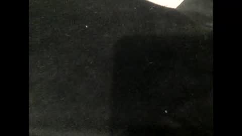 Snapshot of cutcockguy1975 chatting on December 2024 12:12:01 AM Steve online show from December 2024 12:12:01 AM