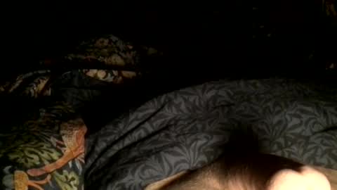 Snapshot of cutcockguy1975 chatting on December 2024 07:35:01 AM Steve online show from December 2024 07:35:01 AM