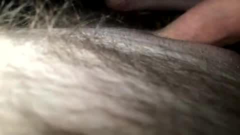 Snapshot of cutcockguy1975 chatting on January 2025 04:18:02 AM Steve online show from January 2025 04:18:02 AM