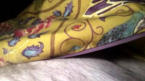 Snapshot of cutcockguy1975 chatting on February 2025 11:34:01 PM Steve online show from February 2025 11:34:01 PM