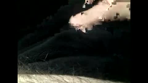 Snapshot of cutcockguy1975 chatting on February 2025 05:50:02 PM Steve online show from February 2025 05:50:02 PM