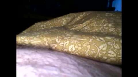 Snapshot of cutcockguy1975 chatting on February 2025 07:42:02 AM Steve online show from February 2025 07:42:02 AM