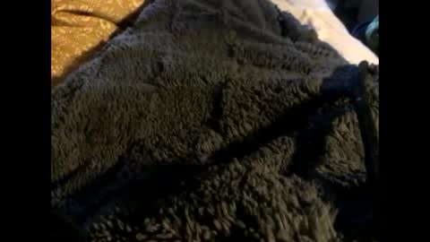 Snapshot of cutcockguy1975 chatting on March 2025 12:54:02 PM Steve online show from March 2025 12:54:02 PM