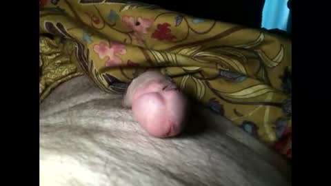 Snapshot of cutcockguy1975 chatting on March 2025 07:21:02 AM Steve online show from March 2025 07:21:02 AM