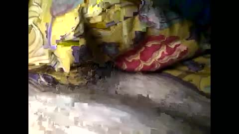 Snapshot of cutcockguy1975 chatting on March 2025 06:37:01 AM Steve online show from March 2025 06:37:01 AM