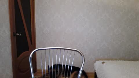 cute_strawberry_ online show from December 2024 04:45:02 AM