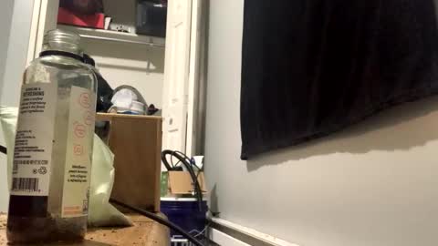 cutealisandra online show from February 2026 03:04:01 AM