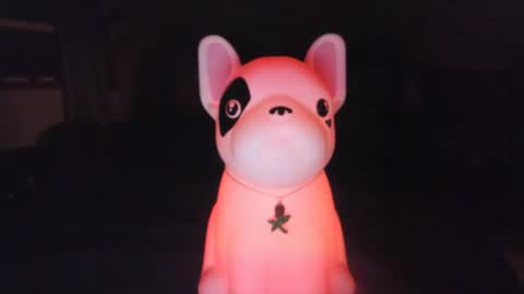 Snapshot of czechlove chatting on October 2025 06:41:02 AM Andrew Thomas online show from October 2025 06:41:02 AM