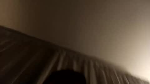 D online show from November 2025 08:59:01 AM